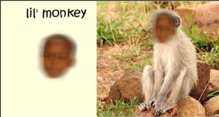 monkey monkey